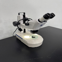 Zeiss Stemi 305 Stereo Microscope image 0